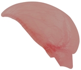 Ardon INA Jednorázová PP čapica 53 cm