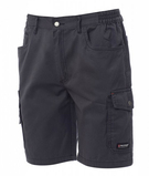 Payper SANDIEGO Bermudy pánske