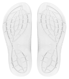 Canis CXS TREND Unisex kroksy